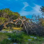 Gianni Only 70m From The Sea, Island Pag Kosljun