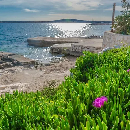 Gianni Only 70m From The Sea, Island Pag *